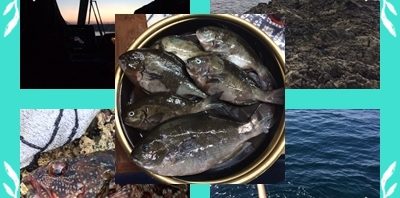 自分へのご褒美  初樺島 口ノ鼻瀬でクロ釣り！