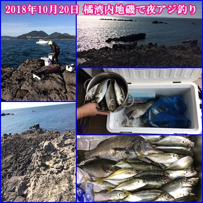 お父さんは初の「橘湾内地磯で夜アジ釣り」